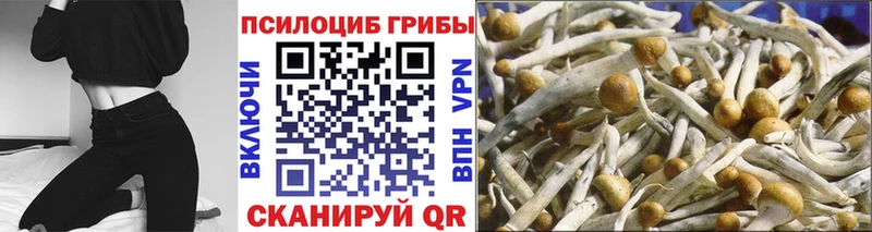 цена Мариинский Посад Галлюциногенные грибы MAGIC MUSHROOMS